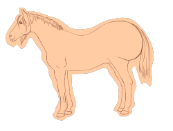 Laetitia